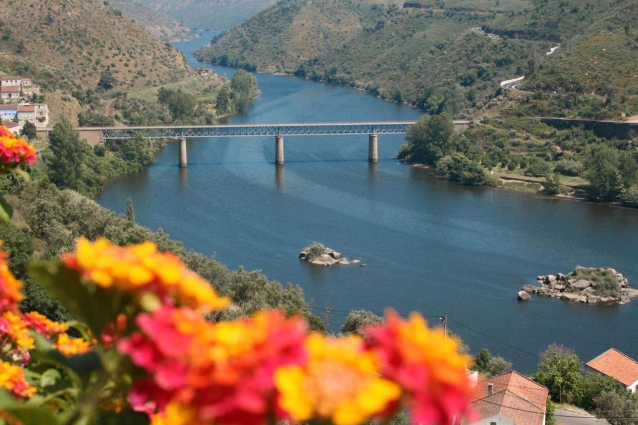 Quinta Do Belo-Ver Turismo De Habitacao Belver  المظهر الخارجي الصورة